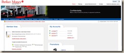 perfect money интерфейс