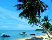 kochang kochang