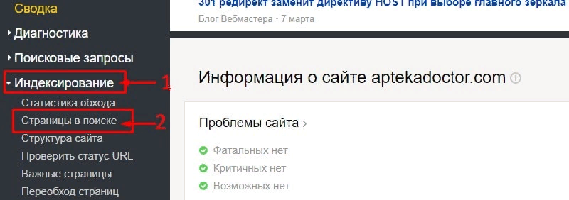 Пример Яндекс.Вебмастер