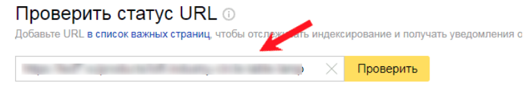 Пример Яндекс.Вебмастер